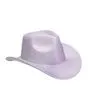 Cowboy Hat Iridescent Striped Hat